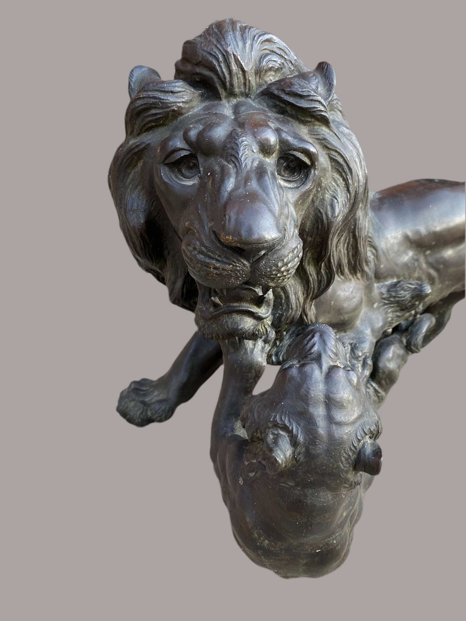 Antique Japanese Bronze Sculpture of Roaring Lion vs. Tiger - 3