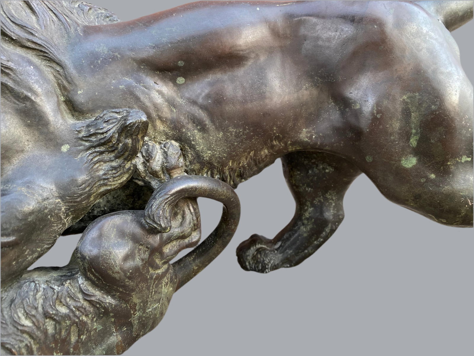 Antique Japanese Bronze Sculpture of Roaring Lion vs. Tiger - 5