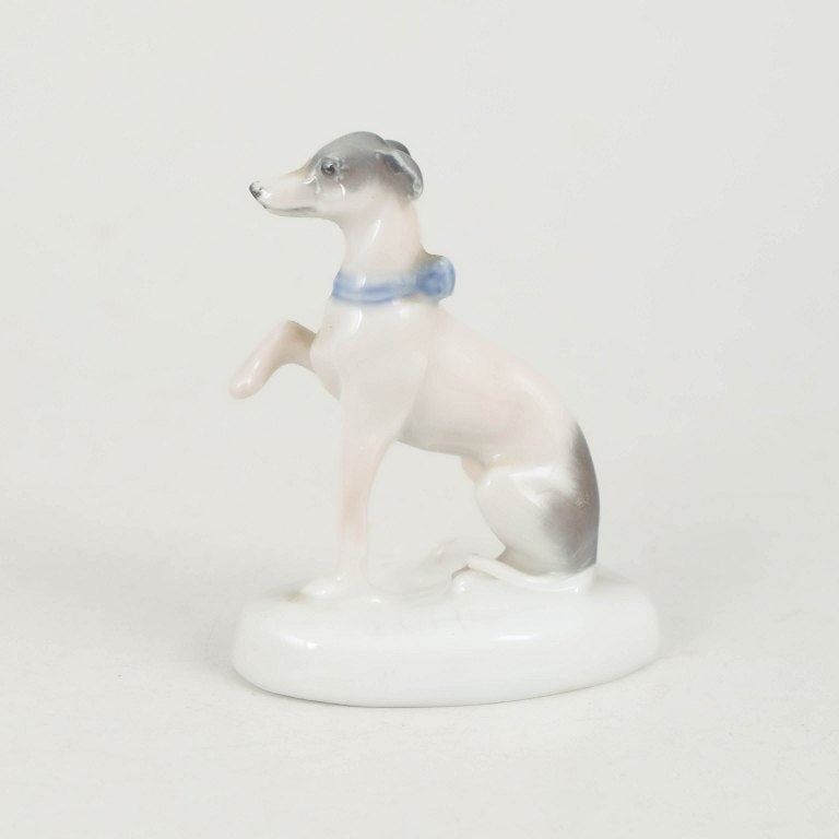 Rosenthal, Germany. Greyhound figurine in porcelain in light tones. Circa 1927. (1 of 4)
