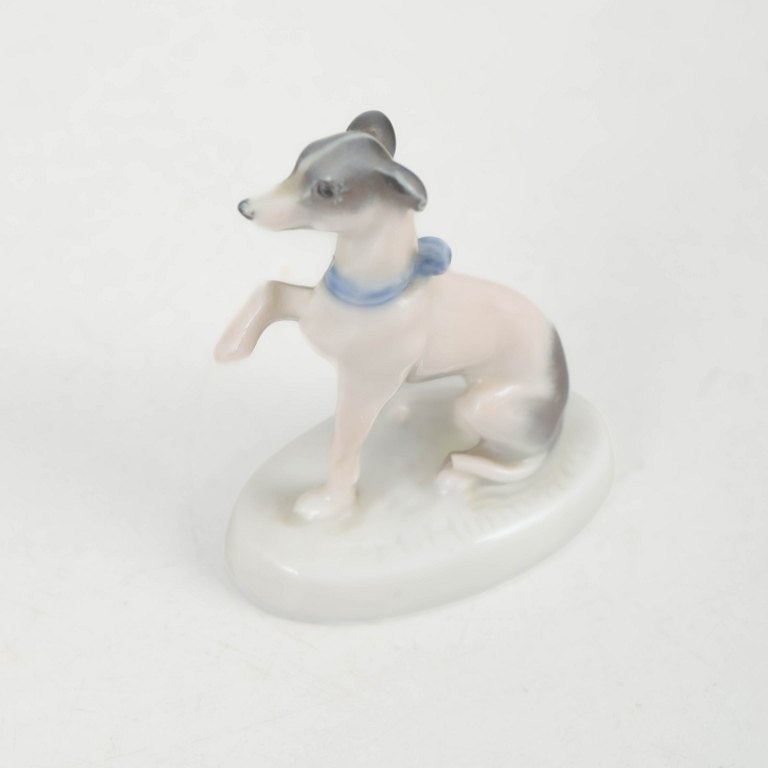 Rosenthal, Germany. Greyhound figurine in porcelain in light tones. Circa 1927. - 2