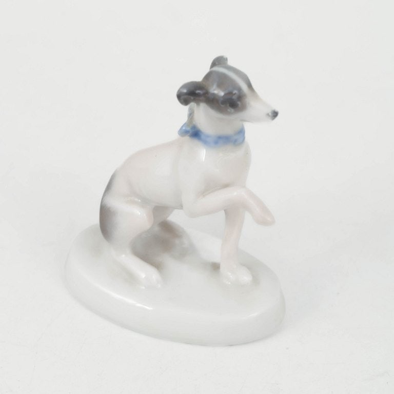 Rosenthal, Germany. Greyhound figurine in porcelain in light tones. Circa 1927. - 3