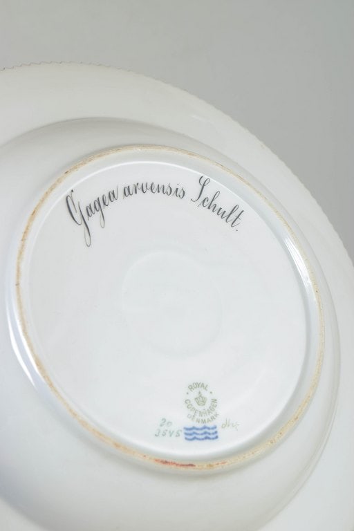 Royal Copenhagen, Denmark. Flora Danica porcelain dinner plate with botanical motif, pierced gilded - 5