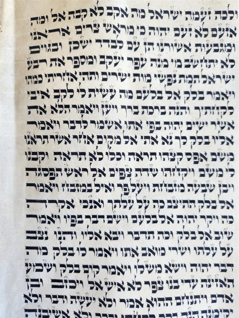 TORAH SCROLL FRAGMENT MANUSCRIPT on VELLUM 19th century ANTIQUE NUMBERS 22-24 - 2