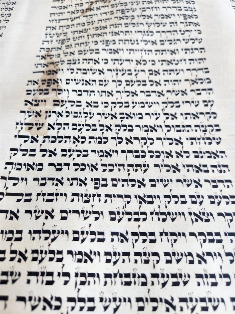 TORAH SCROLL FRAGMENT MANUSCRIPT on VELLUM 19th century ANTIQUE NUMBERS 22-24 - 3