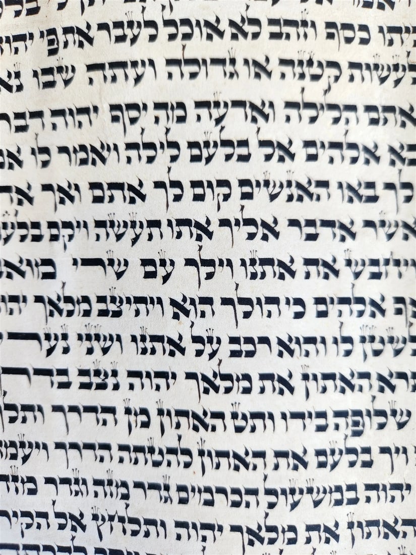 TORAH SCROLL FRAGMENT MANUSCRIPT on VELLUM 19th century ANTIQUE NUMBERS 22-24 - 4