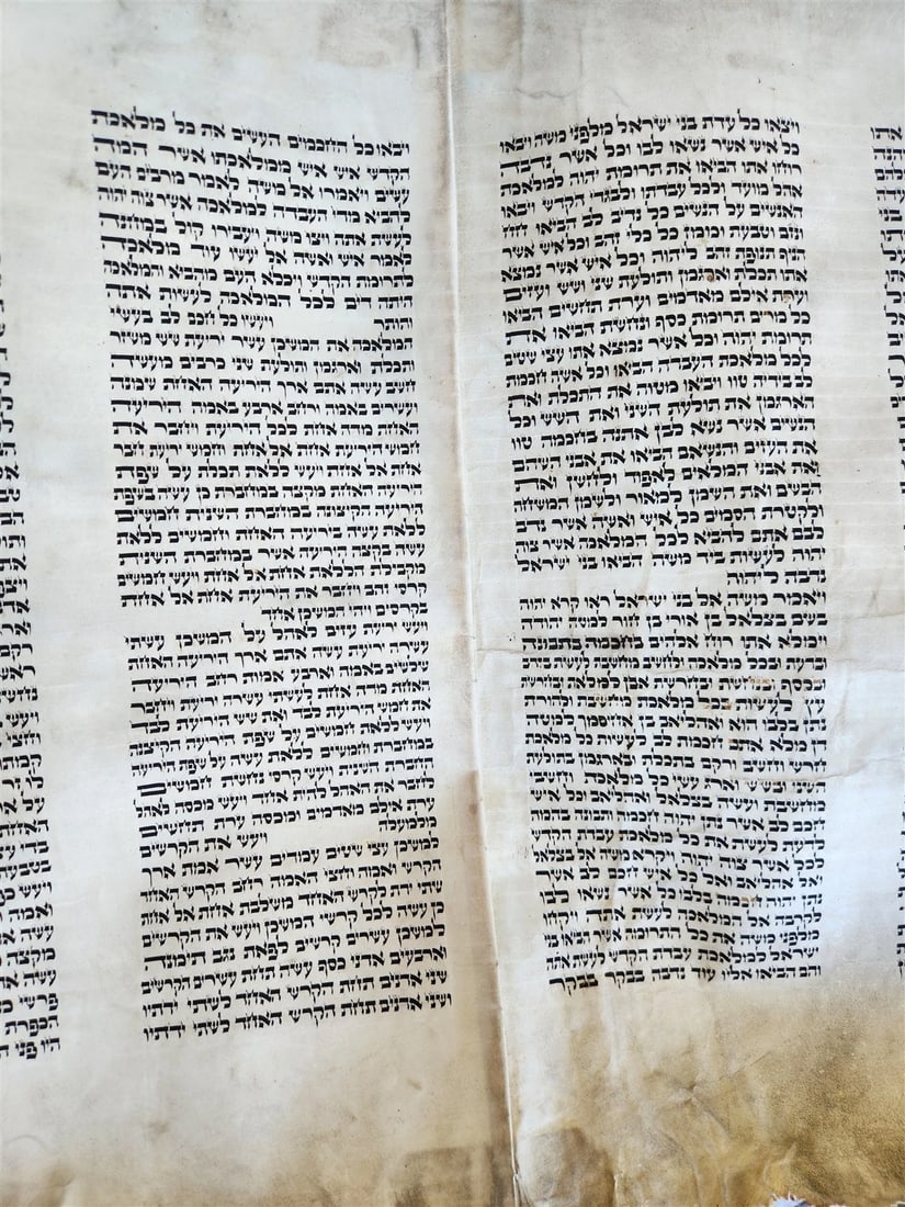 TORAH SCROLL FRAGMENT VELLUM MANUSCRIPT 19th century ANTIQUE Book of EXODUS - 13