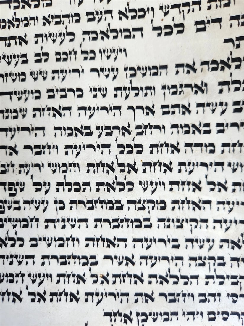 TORAH SCROLL FRAGMENT VELLUM MANUSCRIPT 19th century ANTIQUE Book of EXODUS - 17
