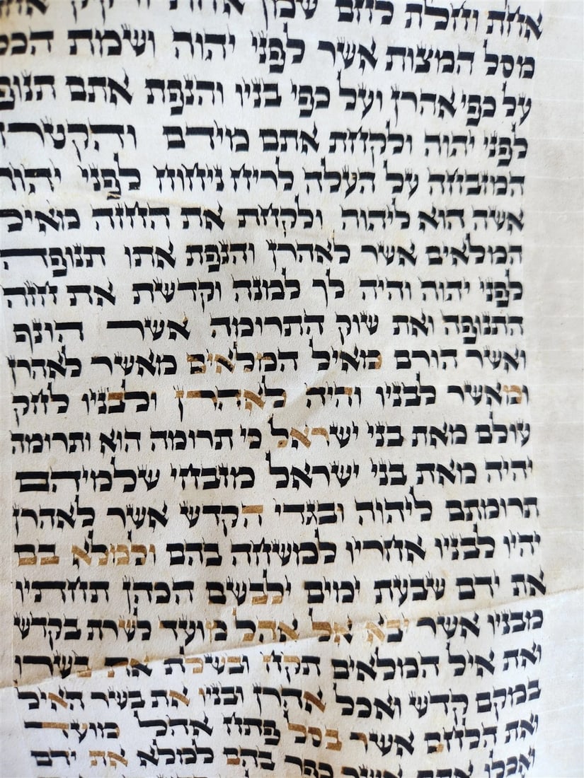 TORAH SCROLL FRAGMENT VELLUM MANUSCRIPT 19th century ANTIQUE Book of EXODUS - 6