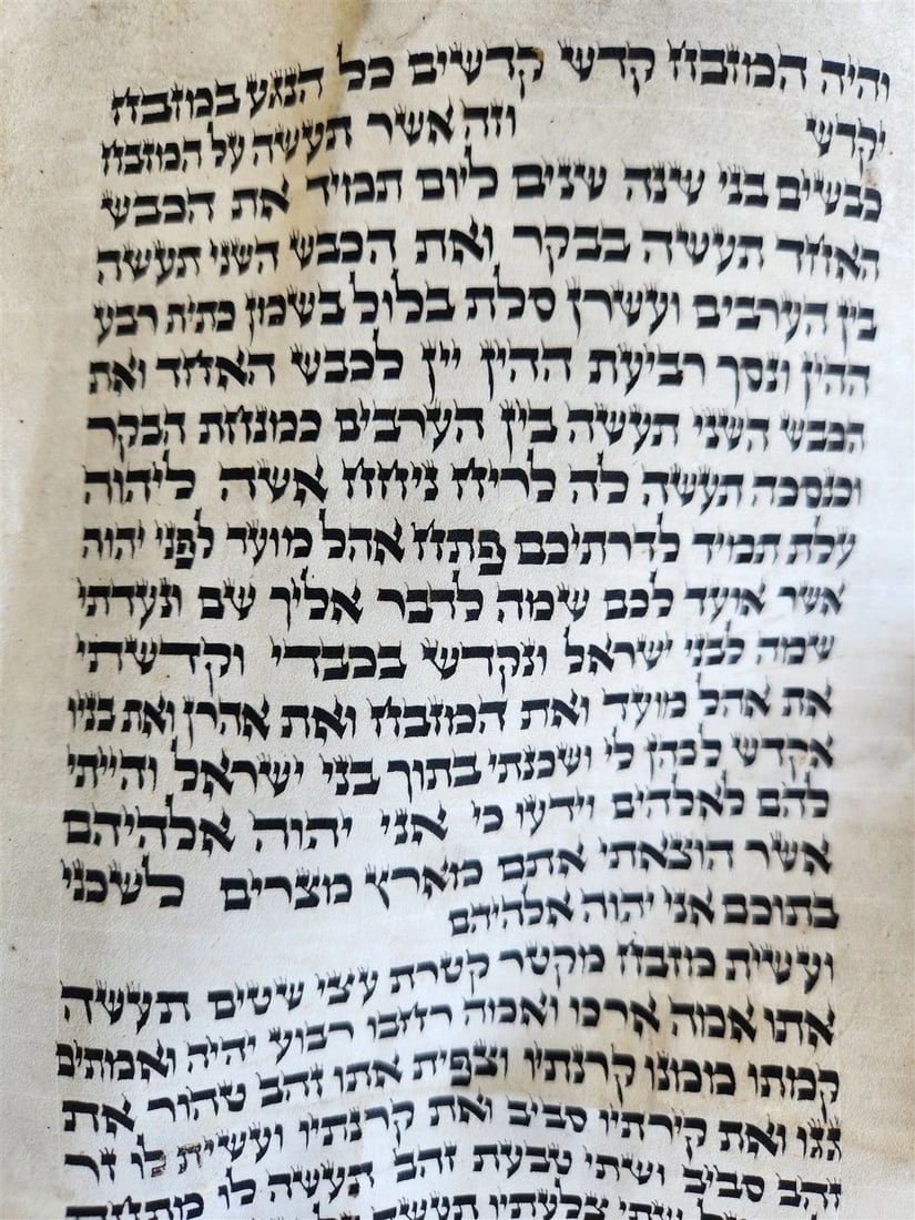 TORAH SCROLL FRAGMENT VELLUM MANUSCRIPT 19th century ANTIQUE Book of EXODUS - 7