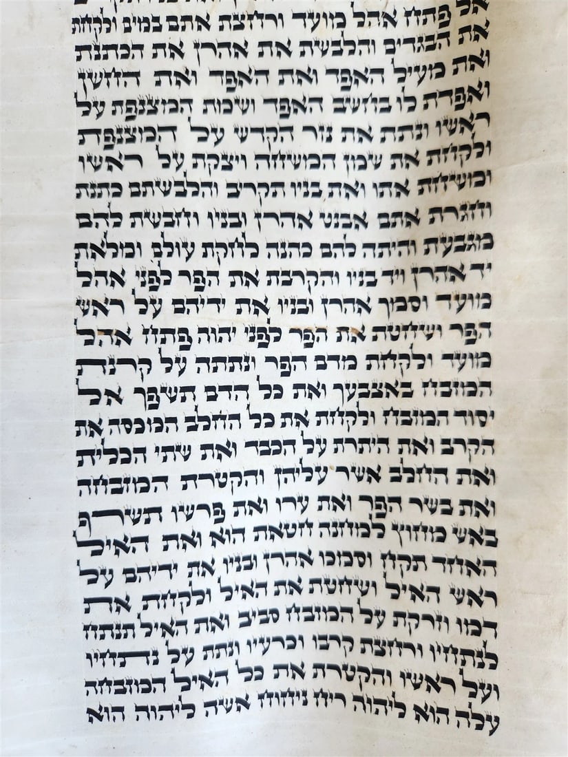 TORAH SCROLL FRAGMENT VELLUM MANUSCRIPT 19th century ANTIQUE Book of EXODUS - 8