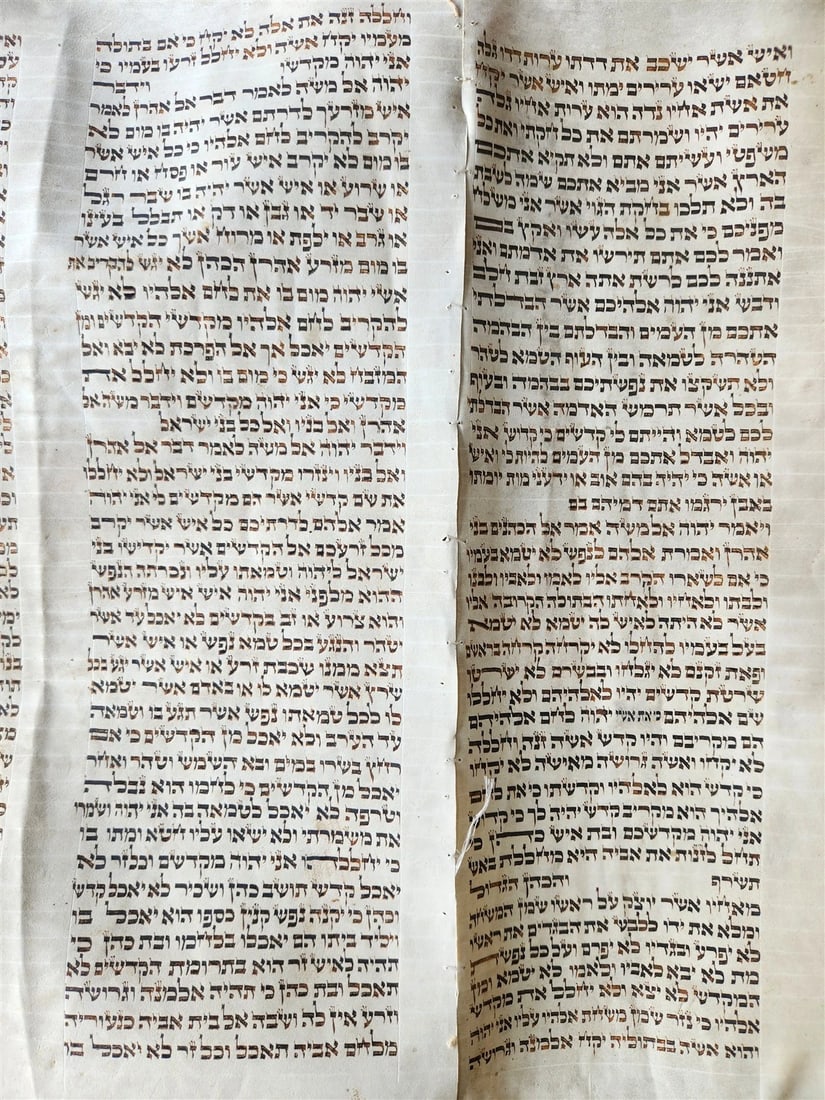 TORAH SCROLL FRAGMENT MANUSCRIPT on VELLUM 19th c. ANTIQUE BIBLE Leviticus 8-27 - 10