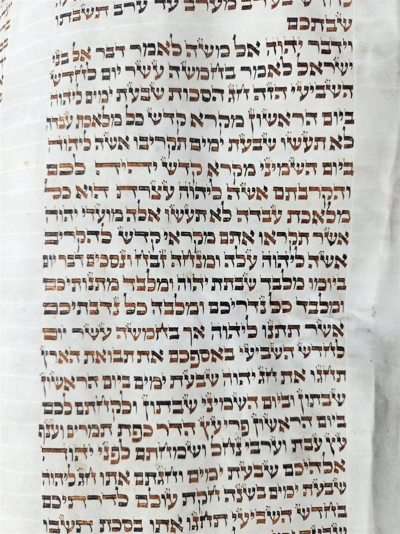 TORAH SCROLL FRAGMENT MANUSCRIPT on VELLUM 19th c. ANTIQUE BIBLE Leviticus 8-27 - 12