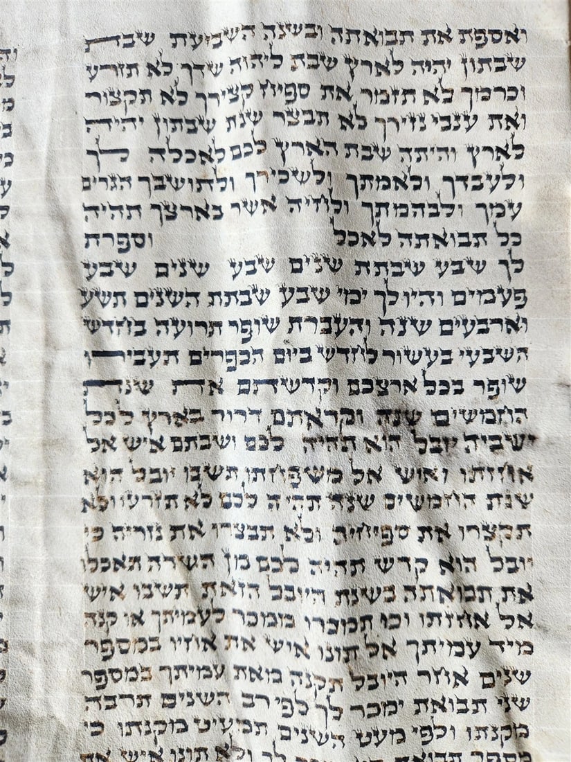 TORAH SCROLL FRAGMENT MANUSCRIPT on VELLUM 19th c. ANTIQUE BIBLE Leviticus 8-27 - 14