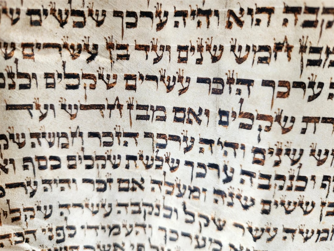 TORAH SCROLL FRAGMENT MANUSCRIPT on VELLUM 19th c. ANTIQUE BIBLE Leviticus 8-27 - 17