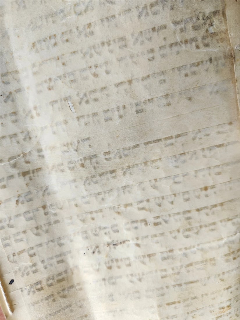 TORAH SCROLL FRAGMENT MANUSCRIPT on VELLUM 19th c. ANTIQUE BIBLE Leviticus 8-27 - 18