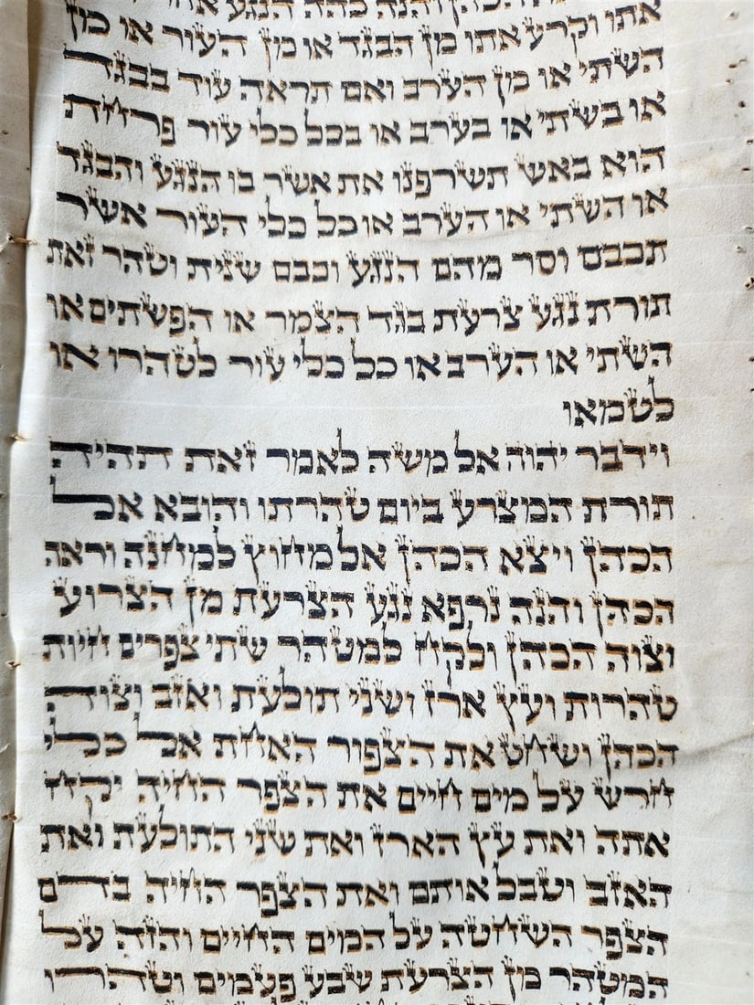 TORAH SCROLL FRAGMENT MANUSCRIPT on VELLUM 19th c. ANTIQUE BIBLE Leviticus 8-27 - 5