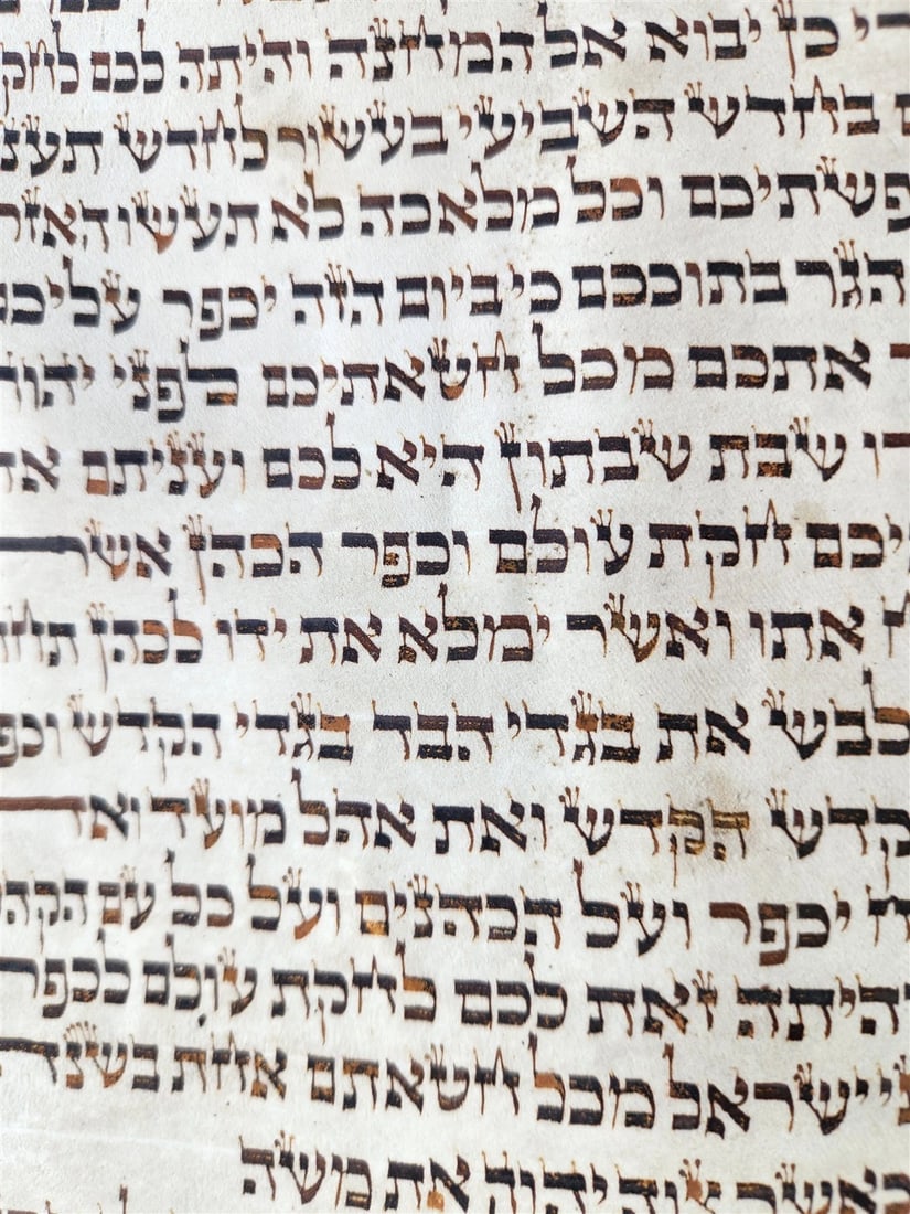 TORAH SCROLL FRAGMENT MANUSCRIPT on VELLUM 19th c. ANTIQUE BIBLE Leviticus 8-27 - 7