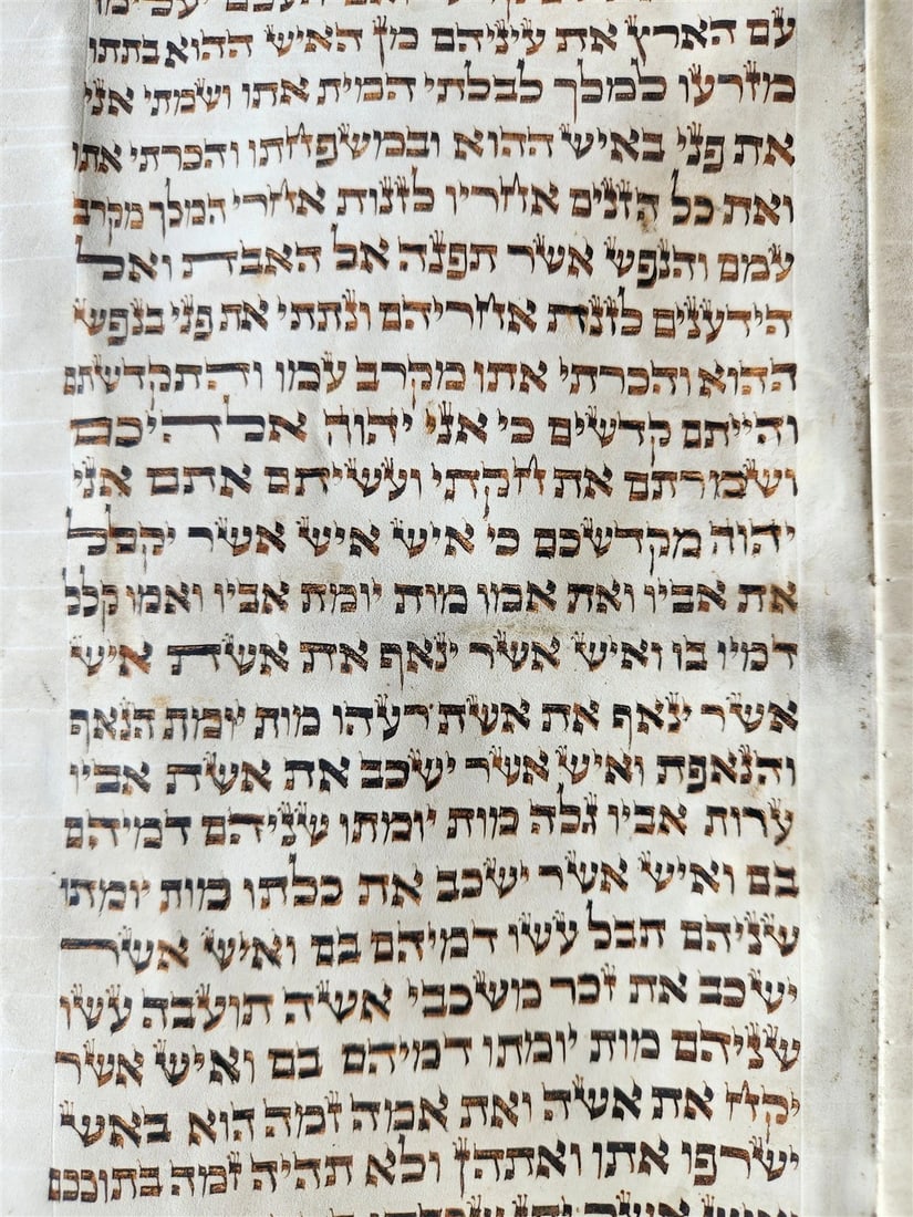 TORAH SCROLL FRAGMENT MANUSCRIPT on VELLUM 19th c. ANTIQUE BIBLE Leviticus 8-27 - 8