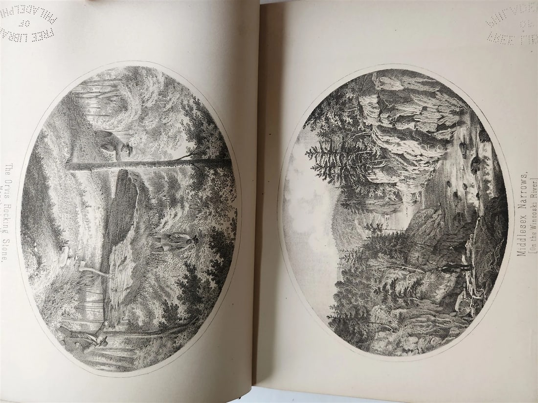 1861 Report on the Geology of Vermont 2 VOLUMES antique ILLUSTRATED Americana - 10