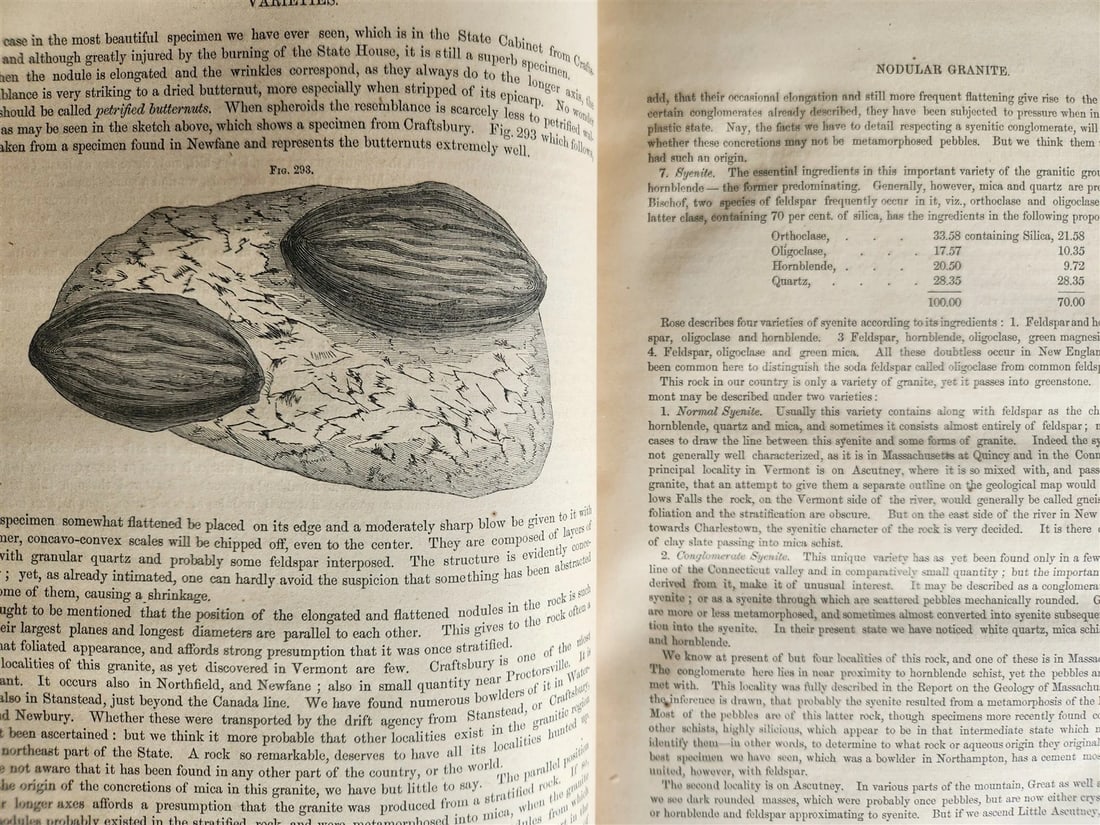 1861 Report on the Geology of Vermont 2 VOLUMES antique ILLUSTRATED Americana - 18