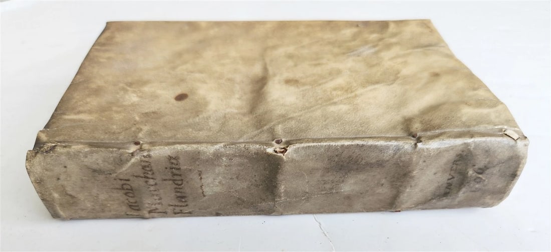 1596 HISTORY of FLANDRIA by Jacobus MARCHANTIUS antique VELLUM Plantin Press - 3