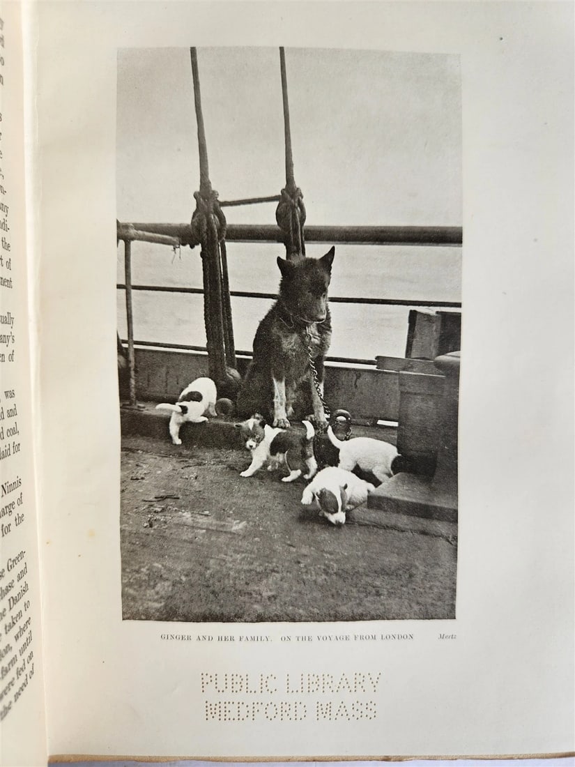 1915 HOME of BLIZZARD AUSTRALASIAN ANTARCTIC EXPEDITION antique ILLUSTRATED - 5