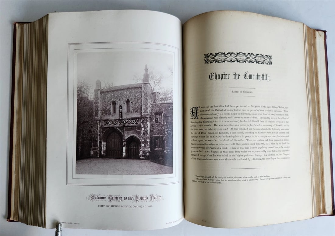 1876 ANCIENT SCULPTURES in ROOF of NORWICH CATHEDRAL antique ILLUSTRATED FOLIO - 19