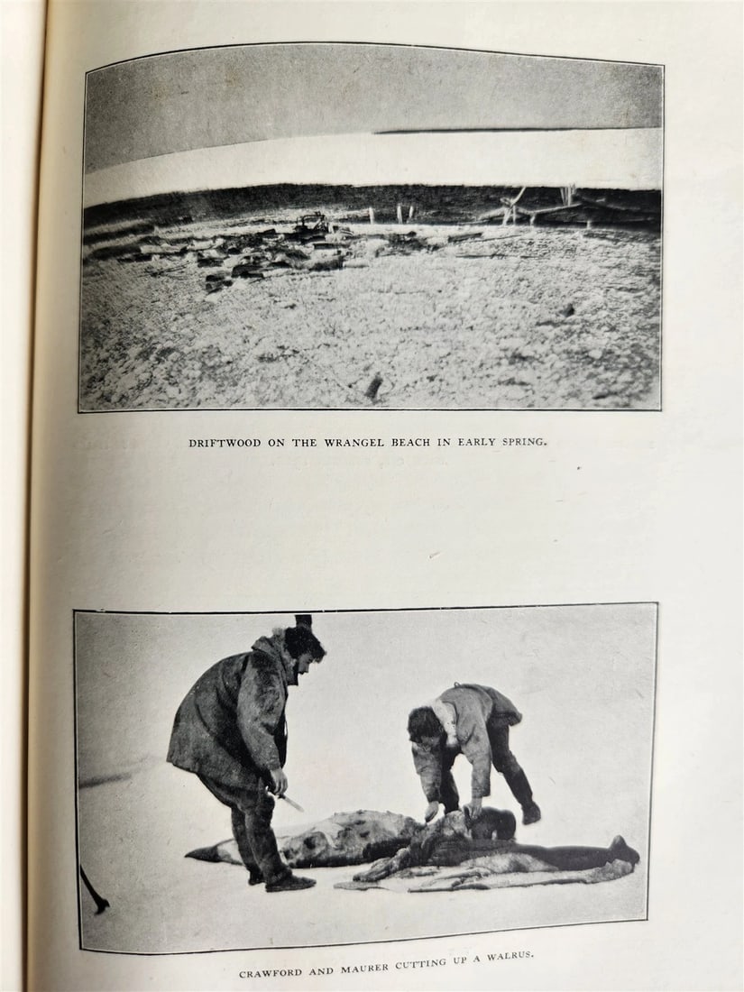 1926 THE ADVENTURE of WRANGEL ISLAND illustrated ANTIQUE - 11