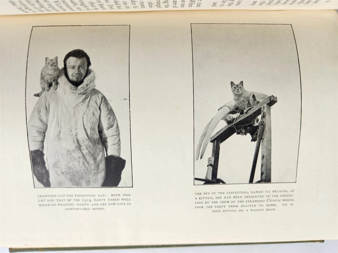 1926 THE ADVENTURE of WRANGEL ISLAND illustrated ANTIQUE - 13