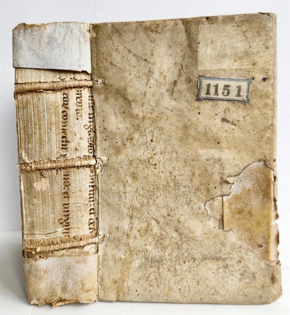 1545 BIBLE COMMENTARIES by Dionysius the Carthusian ANTIQUE vellum 16th CENTURY - 2