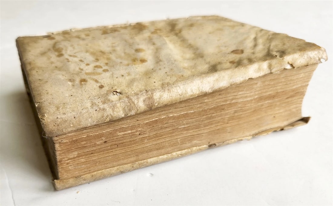1545 BIBLE COMMENTARIES by Dionysius the Carthusian ANTIQUE vellum 16th CENTURY - 3