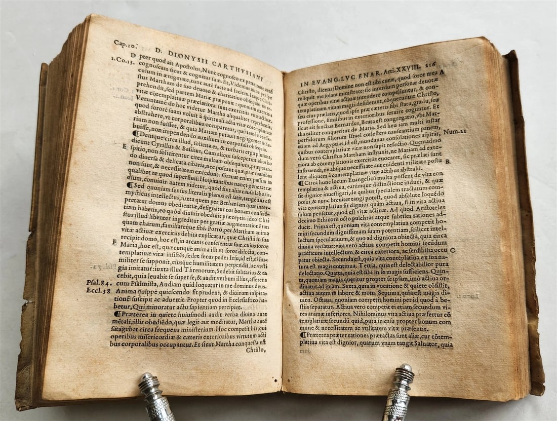1545 BIBLE COMMENTARIES by Dionysius the Carthusian ANTIQUE vellum 16th CENTURY - 5