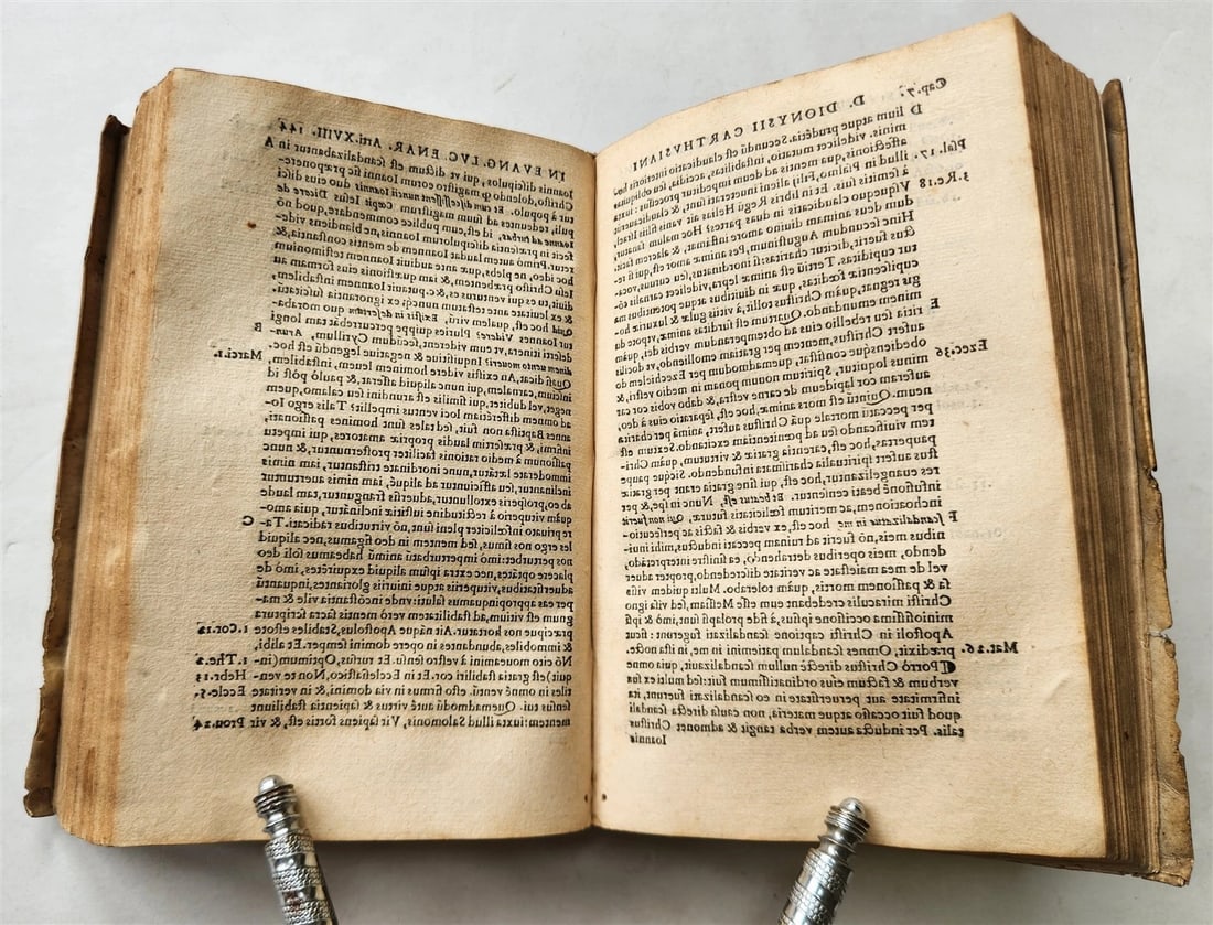 1545 BIBLE COMMENTARIES by Dionysius the Carthusian ANTIQUE vellum 16th CENTURY - 6