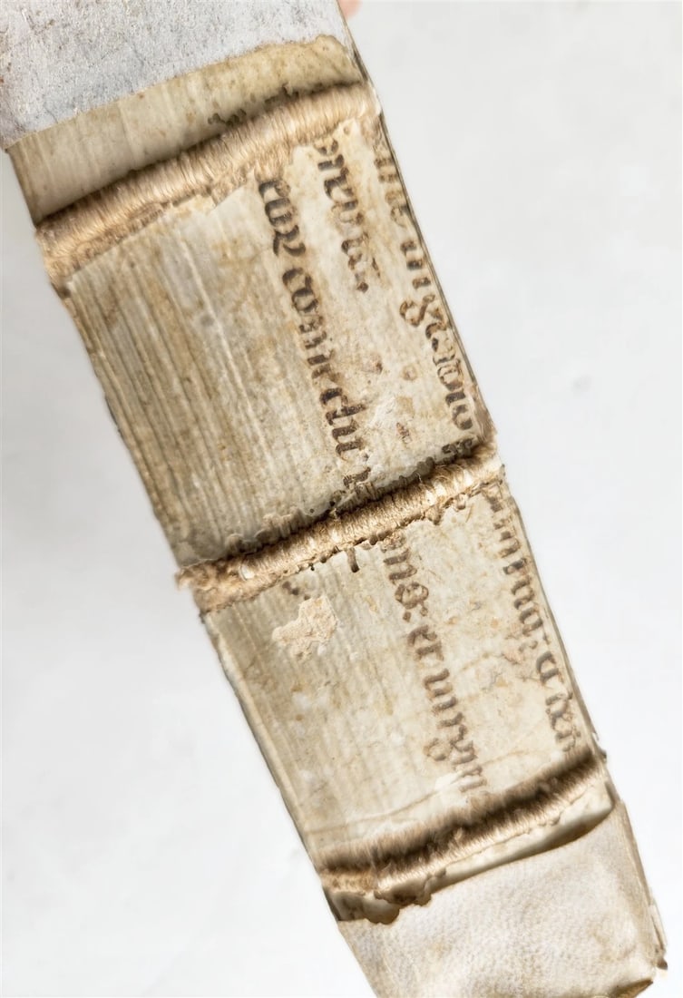 1545 BIBLE COMMENTARIES by Dionysius the Carthusian ANTIQUE vellum 16th CENTURY - 7