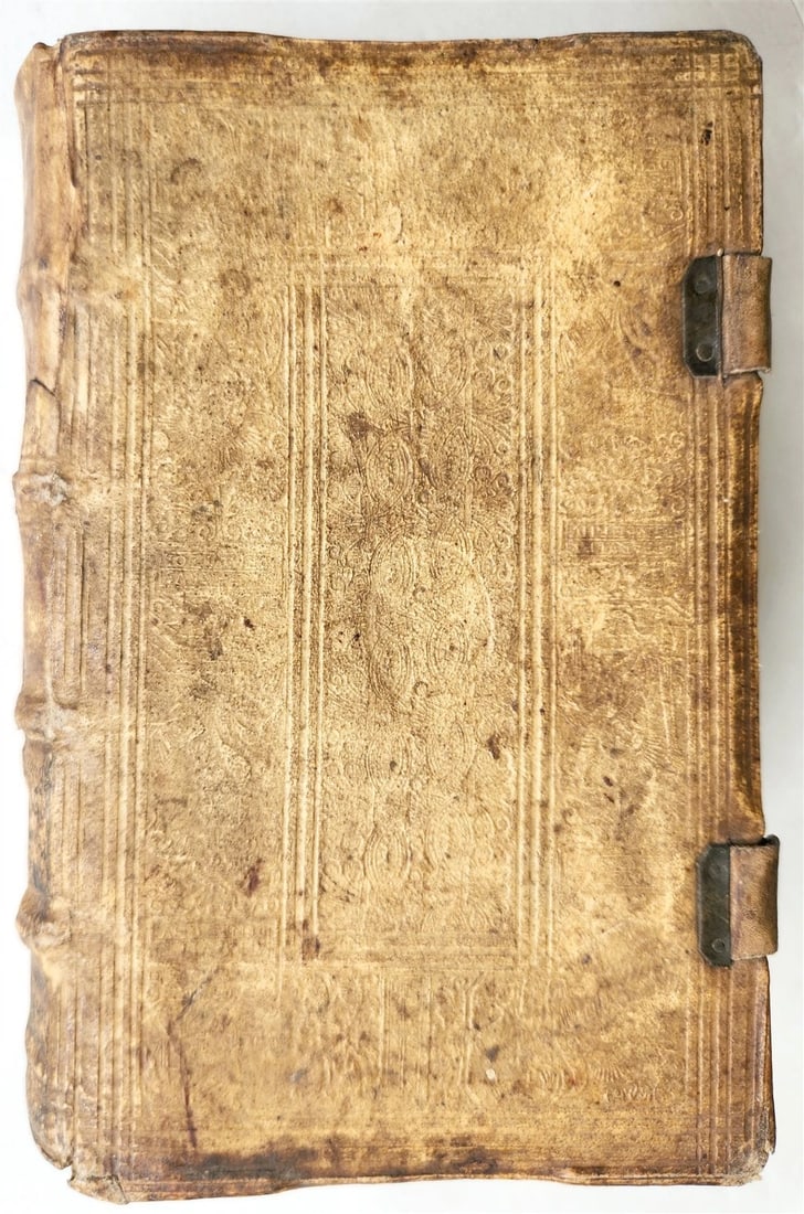 1593 THEOLOGY by Petrus Michaelis ANTIQUE PIGSKIN BINDING 16th CENTURY - 10