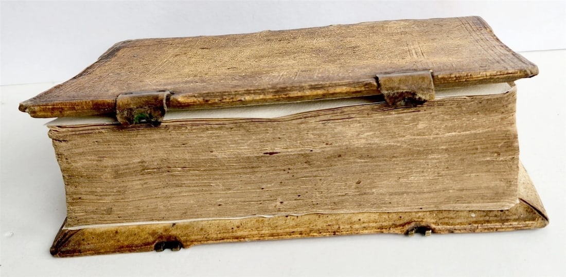 1593 THEOLOGY by Petrus Michaelis ANTIQUE PIGSKIN BINDING 16th CENTURY - 5