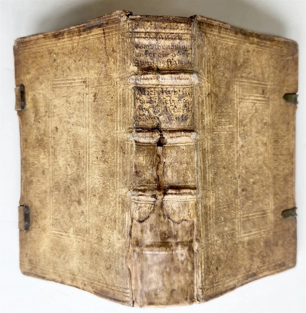 1593 THEOLOGY by Petrus Michaelis ANTIQUE PIGSKIN BINDING 16th CENTURY - 6