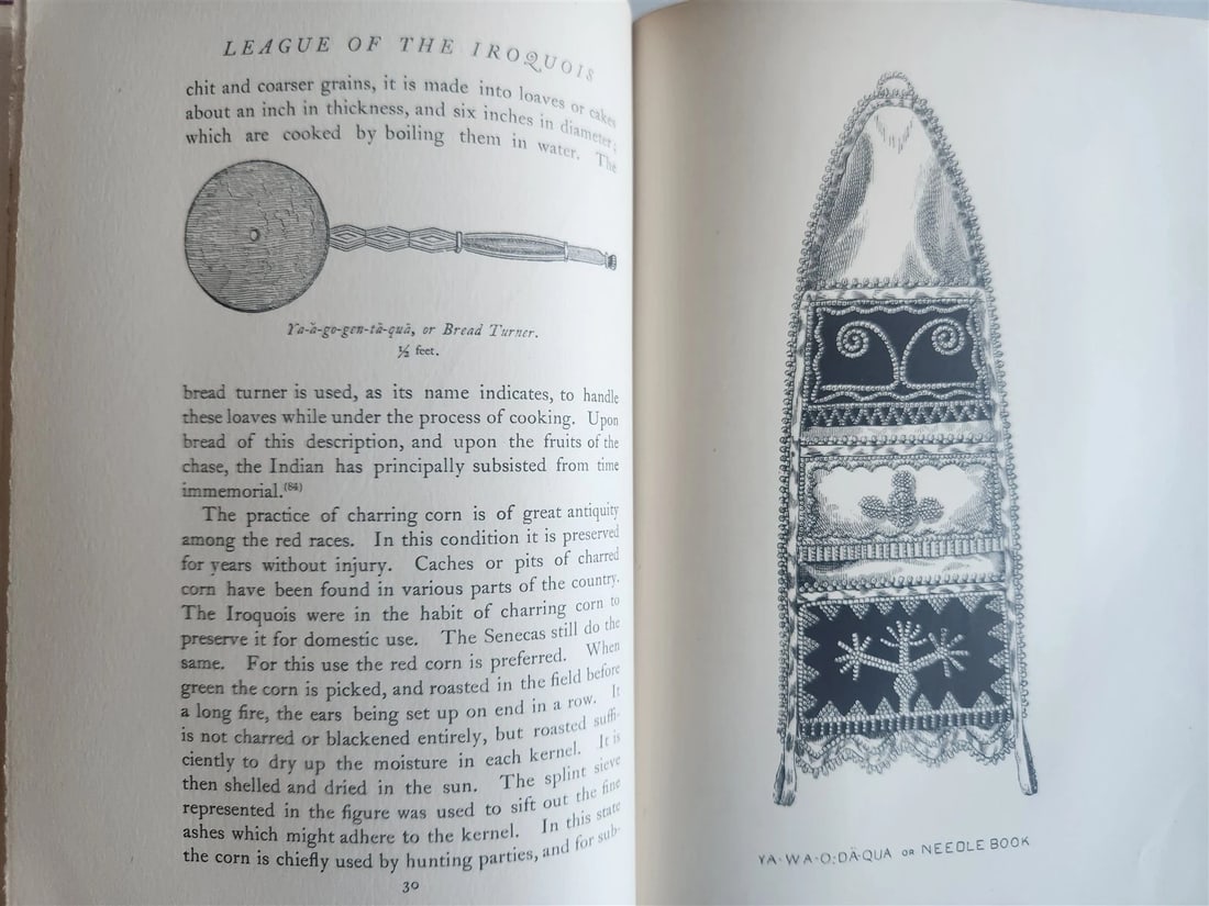 1901 League of the Ho-De-No-Sau-Nee or Iroquois ANTIQUE 2 volumes ILLUSTRATED - 15