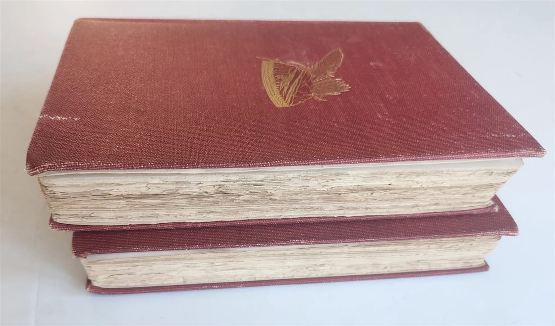 1901 League of the Ho-De-No-Sau-Nee or Iroquois ANTIQUE 2 volumes ILLUSTRATED - 20