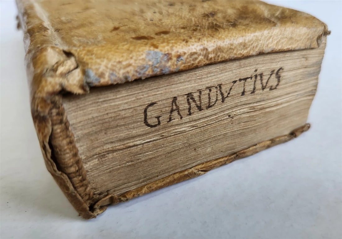 1691 POETRY antique VELLUM BINDING DESCRIPTIONES POETICAE - 3