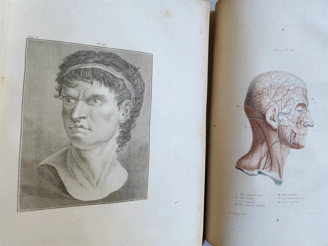 1806 ESSAYS on PHYSIOGNOMY by LAVATED 10 VOLUMES illustrated ANTIQUE - 11