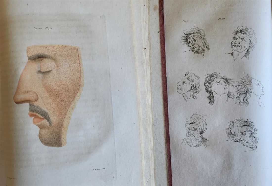 1806 ESSAYS on PHYSIOGNOMY by LAVATED 10 VOLUMES illustrated ANTIQUE - 12