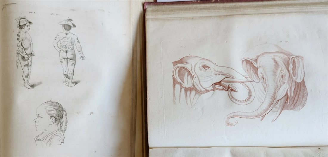 1806 ESSAYS on PHYSIOGNOMY by LAVATED 10 VOLUMES illustrated ANTIQUE - 15