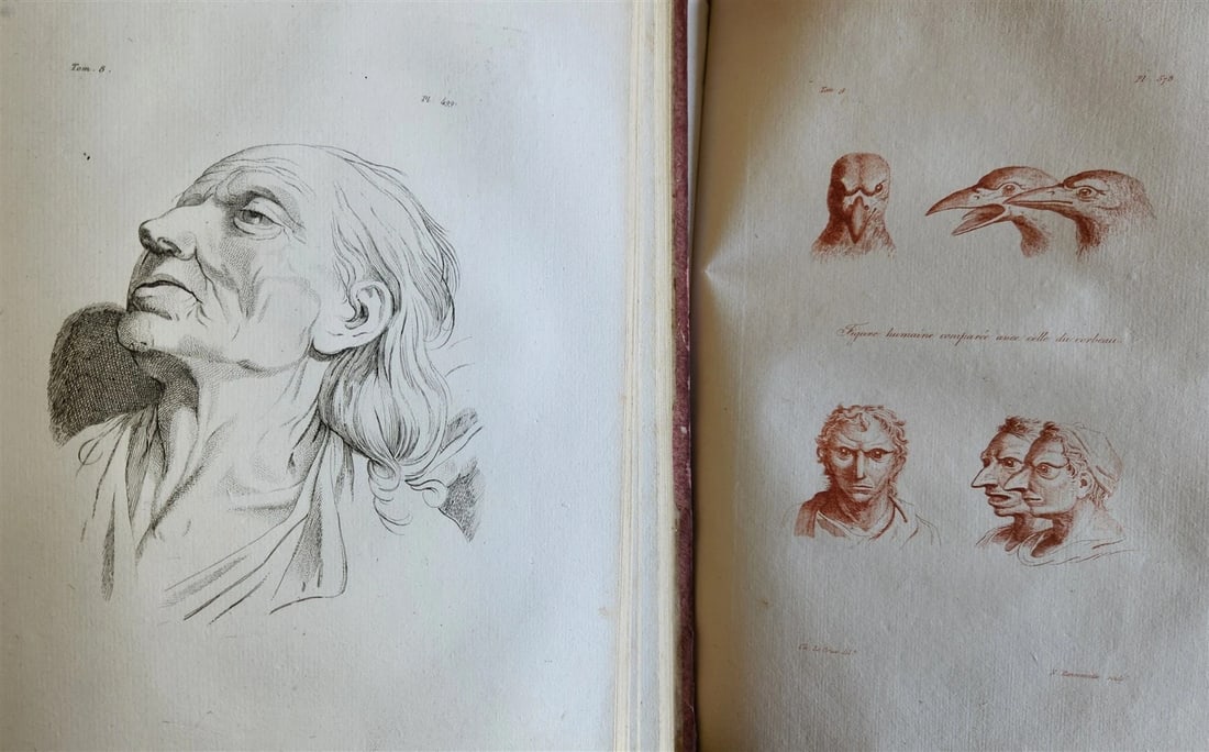1806 ESSAYS on PHYSIOGNOMY by LAVATED 10 VOLUMES illustrated ANTIQUE - 16