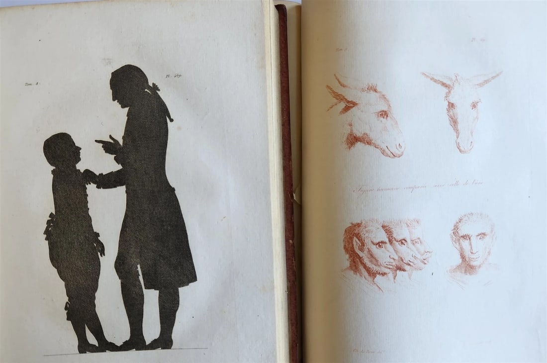 1806 ESSAYS on PHYSIOGNOMY by LAVATED 10 VOLUMES illustrated ANTIQUE - 18