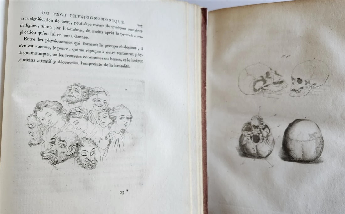 1806 ESSAYS on PHYSIOGNOMY by LAVATED 10 VOLUMES illustrated ANTIQUE - 3