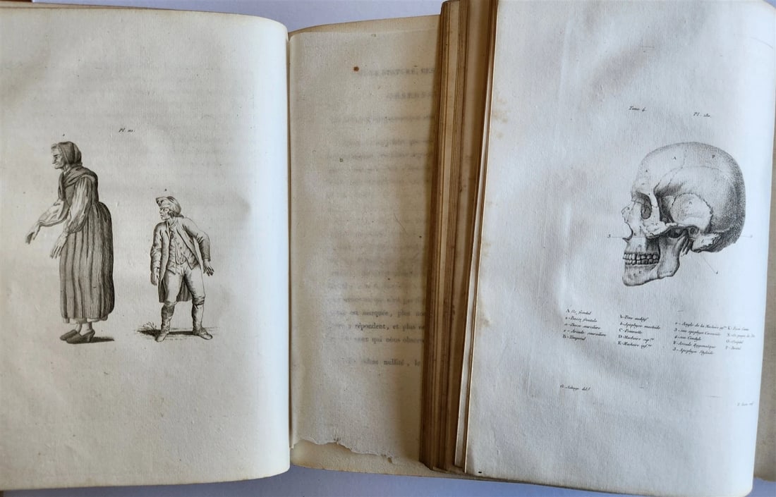 1806 ESSAYS on PHYSIOGNOMY by LAVATED 10 VOLUMES illustrated ANTIQUE - 7
