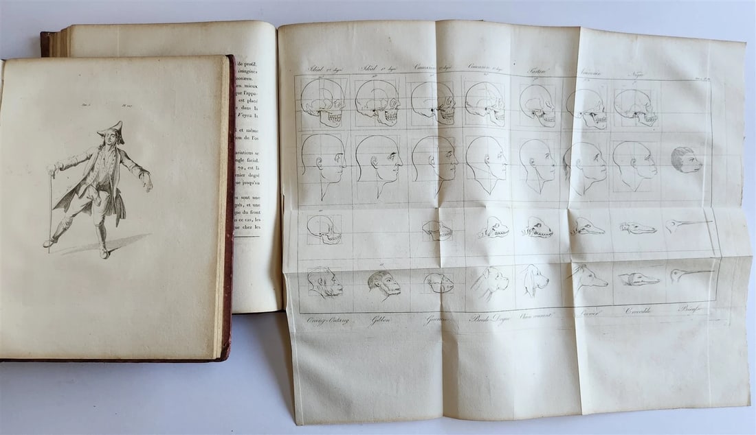 1806 ESSAYS on PHYSIOGNOMY by LAVATED 10 VOLUMES illustrated ANTIQUE - 9