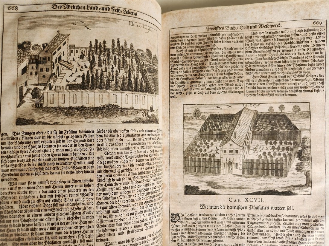 1682 Georgica curiosa ILLUSTRATED noble country life antique PIGSKIN BOUND FOLIO - 10