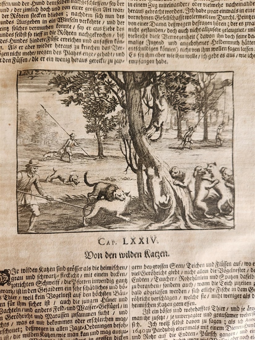 1682 Georgica curiosa ILLUSTRATED noble country life antique PIGSKIN BOUND FOLIO - 11